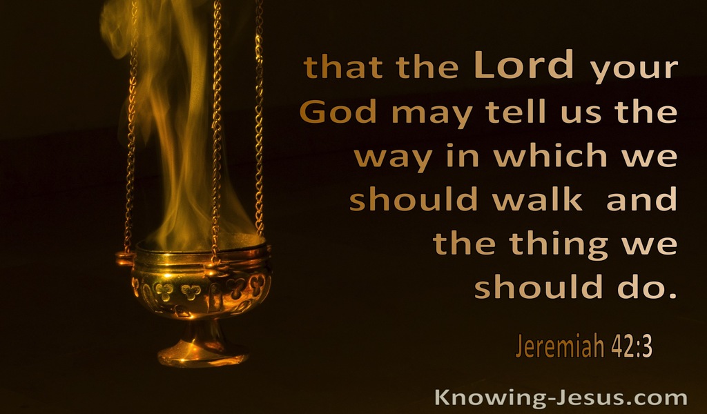Jeremiah 42:3 That The Lord May Tell Us The Way In Which We Should Walk (brown)